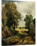 The Cornfield, 1826 by John Constable