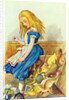 Alice Upsets the Jury-Box by John Tenniel