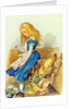 Alice Upsets the Jury-Box by John Tenniel