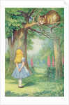 Alice et le chat du Cheshire, 1911 by John Tenniel