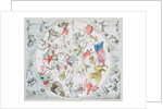 Celestial Planisphere Showing the Signs of the Zodiac by Andreas Cellarius