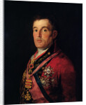 The Duke of Wellington 1812-14 by Francisco Jose de Goya y Lucientes
