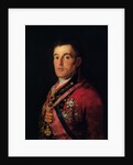 The Duke of Wellington 1812-14 by Francisco Jose de Goya y Lucientes