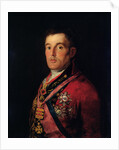 The Duke of Wellington 1812-14 by Francisco Jose de Goya y Lucientes