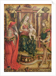La Madonna della Rondine, after 1490 by Carlo Crivelli