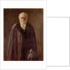Portrait of Charles Darwin, 1883 by John Collier
