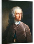 Portrait of Stephen Martin Leake 1755 by Robert Edge Pine