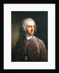 Portrait of Stephen Martin Leake 1755 by Robert Edge Pine