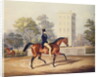 The Marquis of Anglesea on Horseback in Hyde Park, in his 80th year by George Henry Laporte