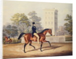 The Marquis of Anglesea on Horseback in Hyde Park, in his 80th year by George Henry Laporte