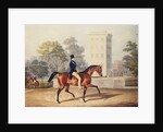 The Marquis of Anglesea on Horseback in Hyde Park, in his 80th year by George Henry Laporte