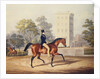 The Marquis of Anglesea on Horseback in Hyde Park, in his 80th year by George Henry Laporte