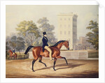 The Marquis of Anglesea on Horseback in Hyde Park, in his 80th year by George Henry Laporte