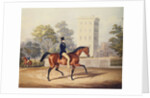 The Marquis of Anglesea on Horseback in Hyde Park, in his 80th year by George Henry Laporte