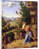 St.Jerome in a Landscape, c.1500-10 by Giovanni Battista Cima da Conegliano