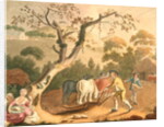 View of ploughing, sowing flax seed and harrowing, 1791 by William Hincks