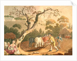 View of ploughing, sowing flax seed and harrowing, 1791 by William Hincks