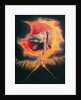 Urizen Measuring out the Material World, The Ancient of Days, 1794 by William Blake