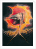 Urizen Measuring out the Material World, The Ancient of Days, 1794 by William Blake