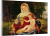 The Virgin and Child with a shoot of Olive, c.1515 by Andrea Previtali