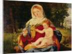 The Virgin and Child with a shoot of Olive, c.1515 by Andrea Previtali