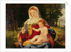 The Virgin and Child with a shoot of Olive, c.1515 by Andrea Previtali