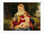 The Virgin and Child with a shoot of Olive, c.1515 by Andrea Previtali
