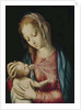 The Virgin and Child, c.1565-70 by Luis de Morales