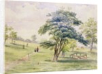 View of the North Part of Hyde Park, 1820 by English School
