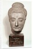 Head from a statue of the Buddha, from Gandhara, north-west India by Indian School