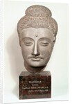 Head from a statue of the Buddha, from Gandhara, north-west India by Indian School