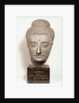Head from a statue of the Buddha, from Gandhara, north-west India by Indian School
