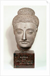 Head from a statue of the Buddha, from Gandhara, north-west India by Indian School