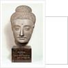 Head from a statue of the Buddha, from Gandhara, north-west India by Indian School