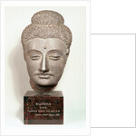 Head from a statue of the Buddha, from Gandhara, north-west India by Indian School