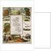 Map of Buckinghamshire by School English