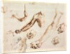 Study of male hands and arms by Albrecht Dürer or Duerer