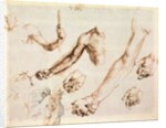 Study of male hands and arms by Albrecht Dürer or Duerer
