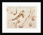 Study of male hands and arms by Albrecht Dürer or Duerer