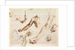 Study of male hands and arms by Albrecht Dürer or Duerer