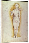 Female nude by Albrecht Dürer or Duerer