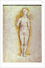 Female nude by Albrecht Dürer or Duerer