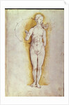 Female nude by Albrecht Dürer or Duerer