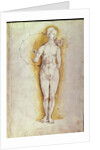 Female nude by Albrecht Dürer or Duerer