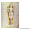 Female nude by Albrecht Dürer or Duerer