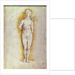 Female nude by Albrecht Dürer or Duerer