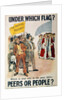 Liberal Party Poster for the British General Election of January 1910 by English School