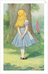 Alice and the Cheshire Cat by John Tenniel