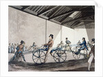 Johnson's Pedestrian Hobbyhorse Riding School, 1819 by Henry Thomas (after) Alken