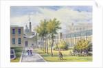 Garden of St. Thomas's Hospital, Southwark, London by Thomas Hosmer Shepherd